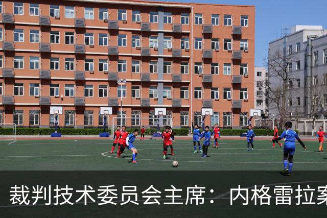 裁判技术委员会主席：内格雷拉案玷污裁判体系的公正